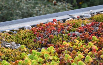 the cost of St Giles On The Heath green roof installation