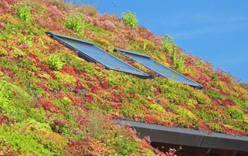 St Giles On The Heath living roof systems
