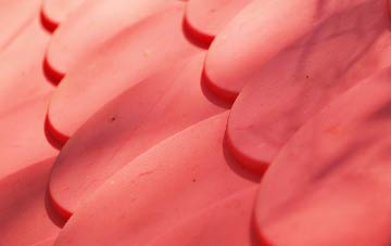 St Giles On The Heath plastic roof costs