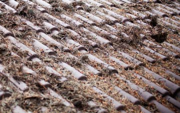 St Giles On The Heath roof cleaning companies