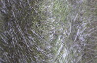 St Giles On The Heath fibreglass roof work